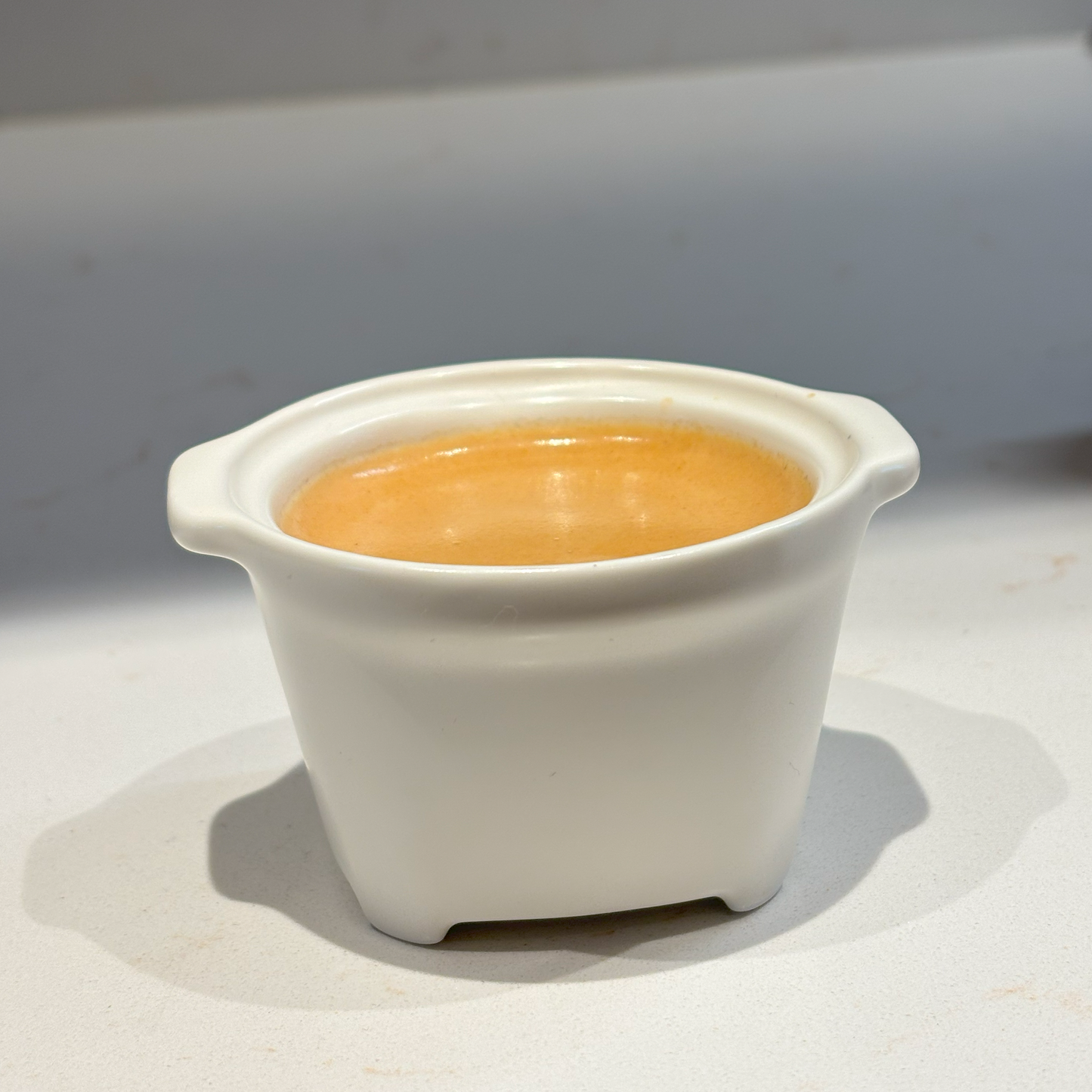 STALT MESA CUP